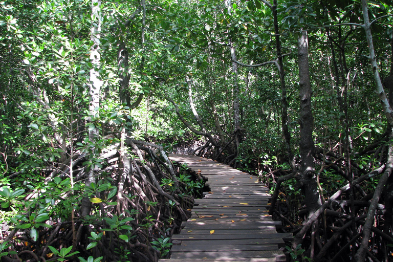 Zanzibar : Forêt de Jozani, promenade dans la nature et visite de la faune et de la flore