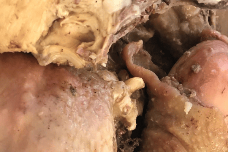 Johannesburg: Soweto Township Tour met kookles