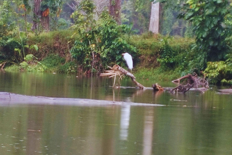 Private Kayaking Adventure: a 2-hour Wildlife Escape Self-Guided Kayaking Adventure: a 2-hour Wildlife Escape