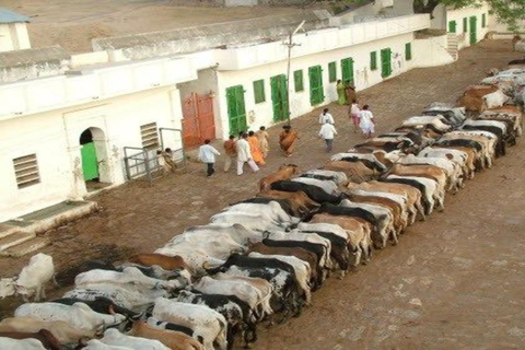 جولة شريناثجي ناثدوارا 2N/3D