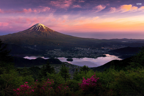 From Tokyo: Mount Fuji Private Tour With English Guide Route 2 Mount Fuji & Hakone: Full day customized Tour