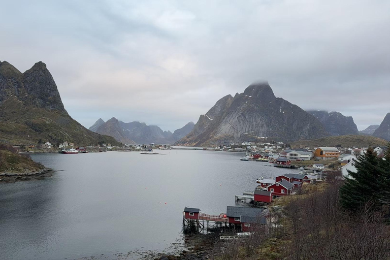 Svolvær: Rondleiding met gids over de Lofoten Eilanden