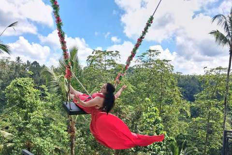 Alas Tirta: Bali Swing, Zipline & Hidden Waterfall - Ubud One Swing Package