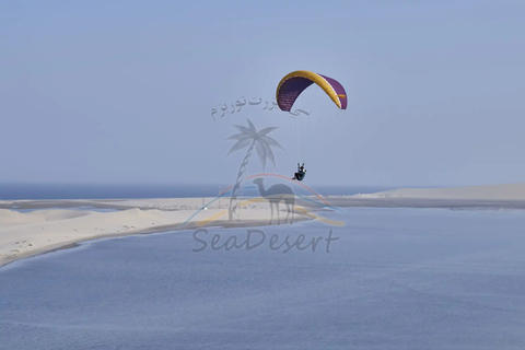 Doha: Full Day Desert Safari, BBQ Dinner, and Stargazing