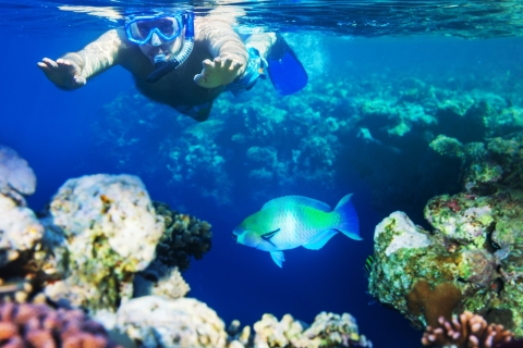 Sous l'eau : Découvrez le paradis de la plongée en apnée de Mirbat