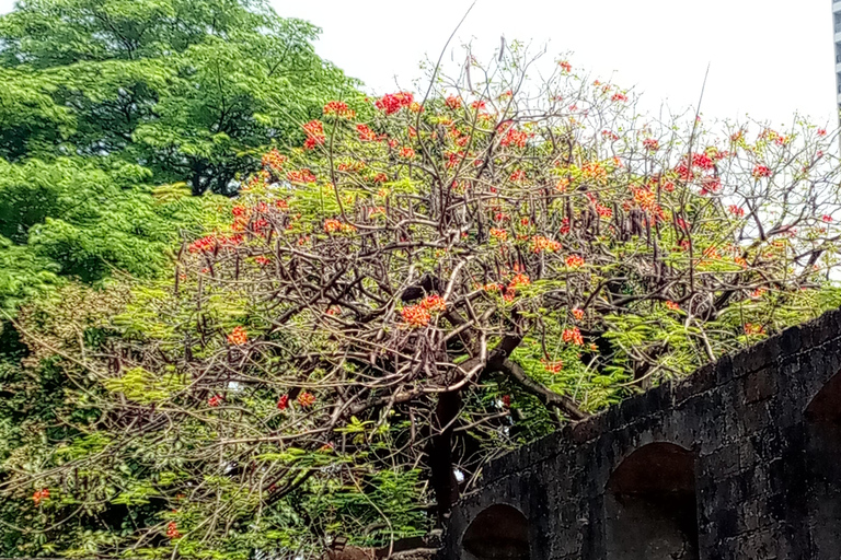 Manila: Intramuros Rev Walk