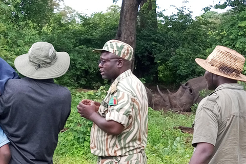 Safari des rhinocérosSafari en 4x4 et promenade à dos de rhinocéros