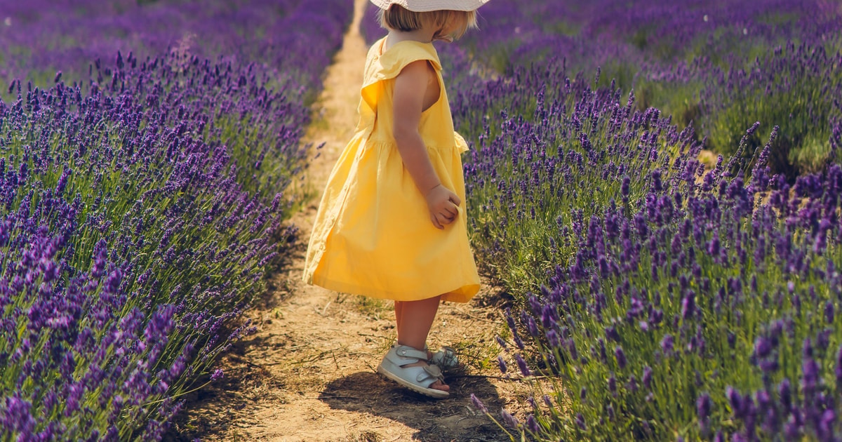 Brihuega: Lavender Fields And Town Photography Session 