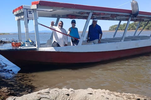 From Jacó: Crocodile Mangrove Boat Tour with Beach visit