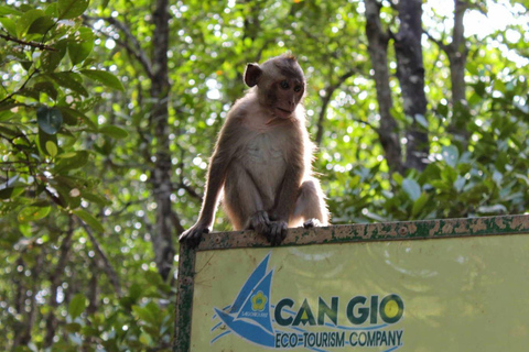 De Ho Chi Minh: Visita guiada Premium à Ilha dos Macacos de Can Gio