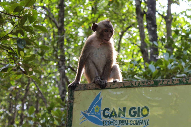 Depuis Ho Chi Minh : Visite guidée Premium de l&#039;île aux singes de Can Gio