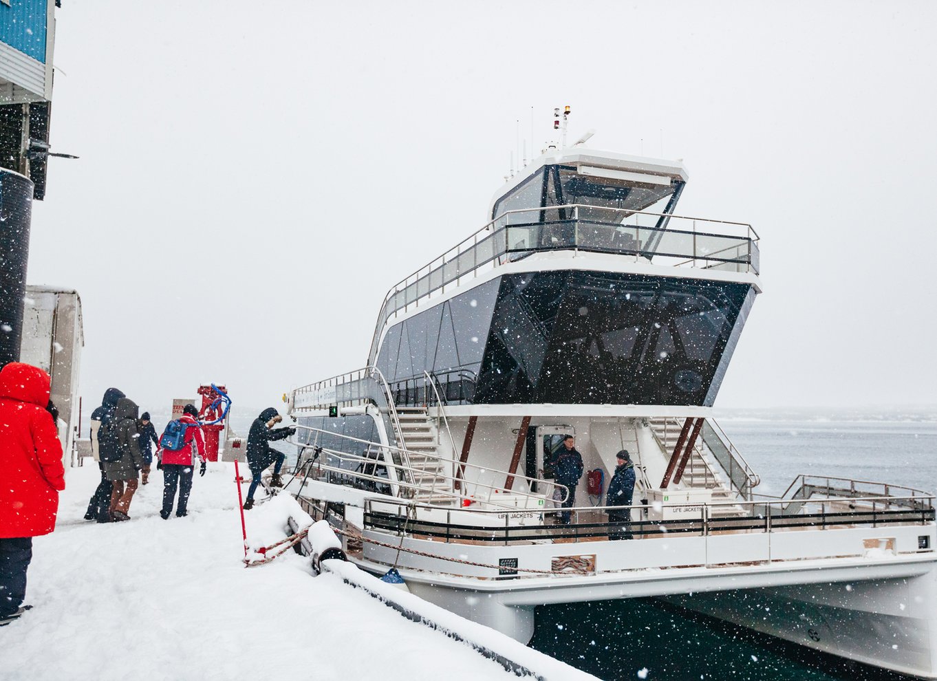 Tromsø: Arktisk fjordkrydstogt med hybridelektrisk katamaran