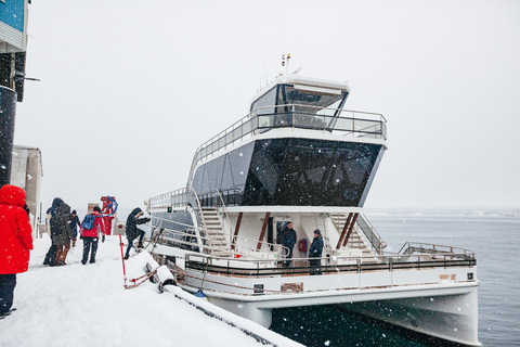 Tromsø: boottocht in fjord met hybride-elektrische catamaranTromsø: boottocht in fjord met elektrische catamaran