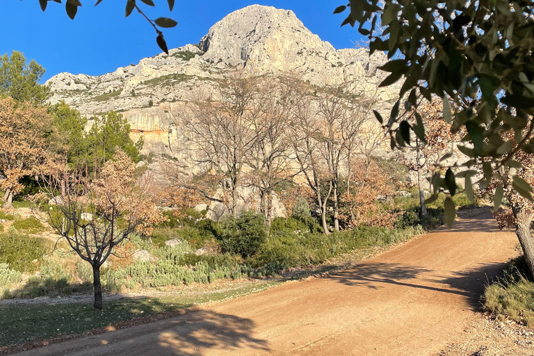 Aix-en-Provence: Watercolor and Sketching Walk in the Footsteps of Cézanne