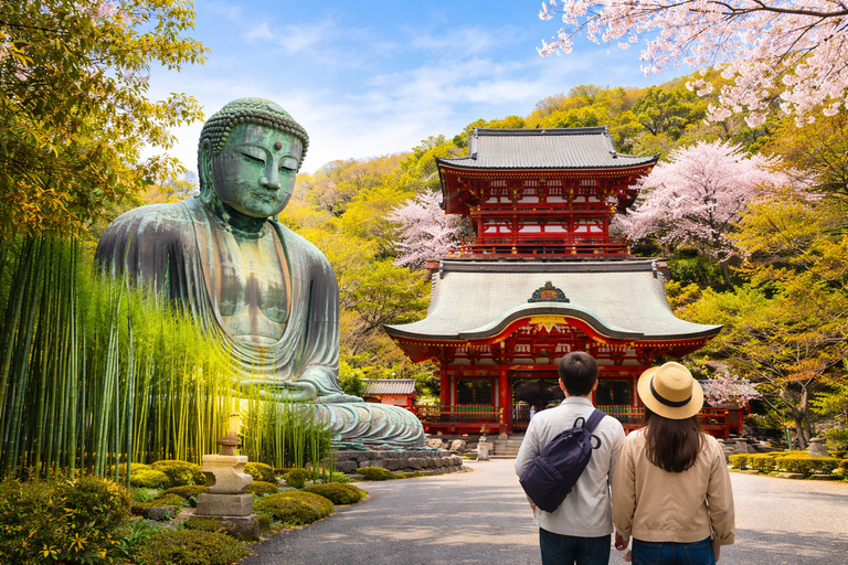 Tokyo: Kamakura Full-Day Private Tour With Best Itinerary