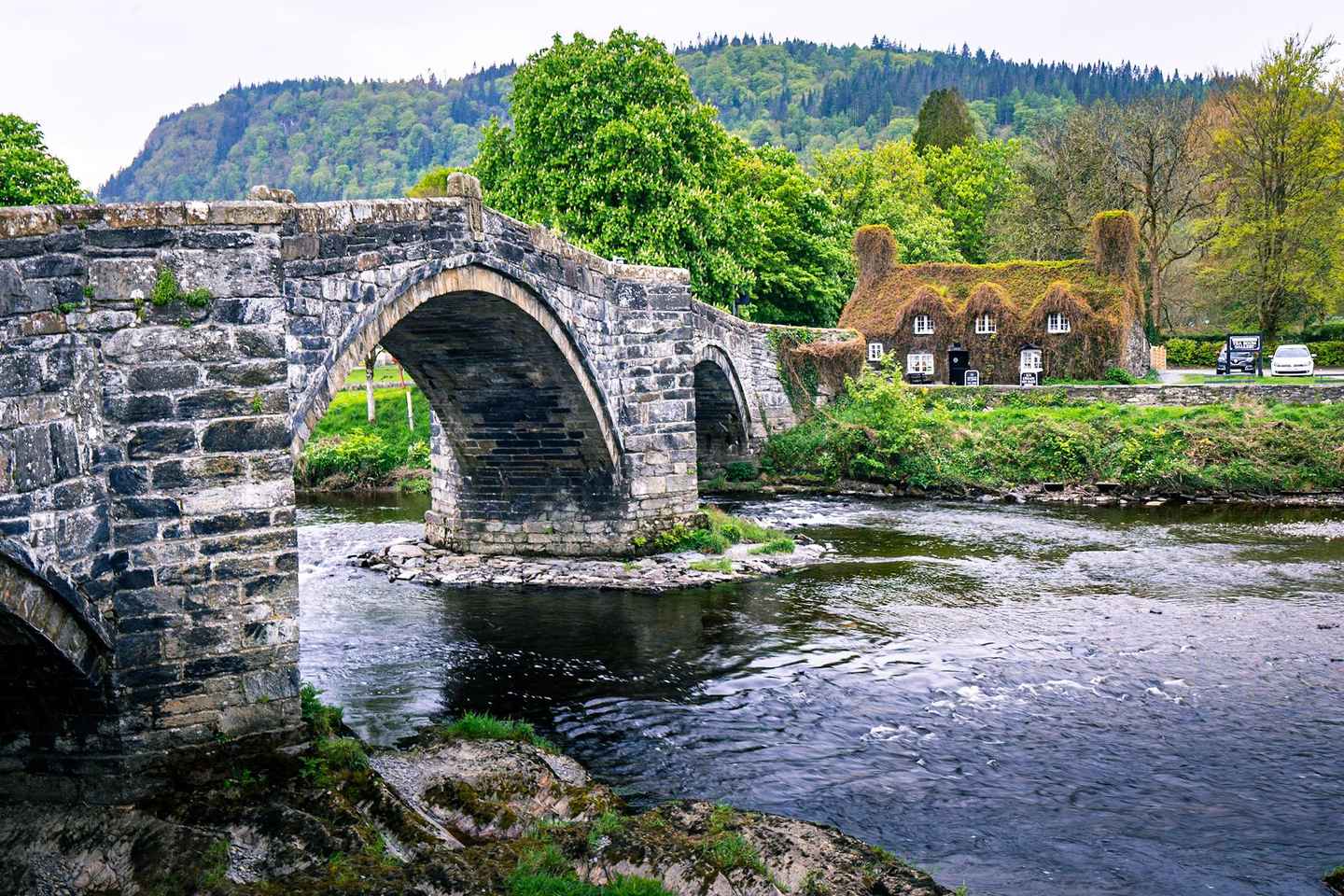 스노도니아의 매력을 만끽하는 당일치기 여행: 랜디드노 & 콘위 출발 투어