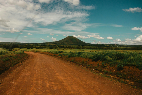 Depuis Arusha : Excursion d'une journée au cratère du Ngorongoro avec safariDepuis Arusha : Excursion au cratère du Ngorongoro avec safari