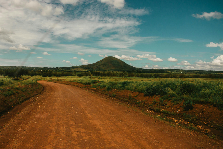 Depuis Arusha : Excursion d'une journée au cratère du Ngorongoro avec safariDepuis Arusha : Excursion au cratère du Ngorongoro avec safari