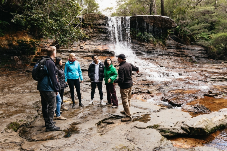 Van Sydney: Blue Mountains Nature and Wildlife Tour