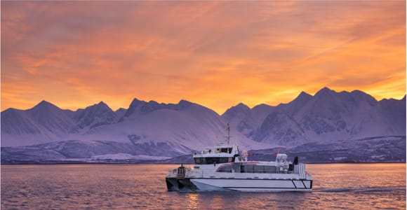 Tromsø: Premium Whale Watching Cruise | Max 45 Guests