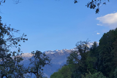 Pokhara : 5 jours de trek au camp de base du Mardi Himal avec transferts