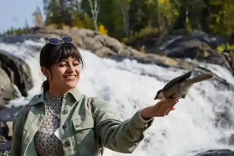 Yellowknife: Cameron Falls Nature Hiking Tour