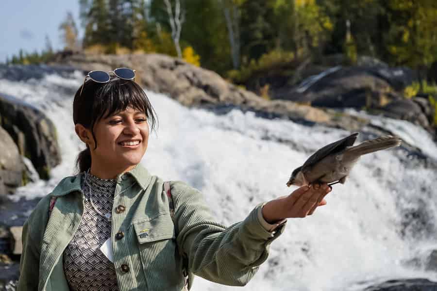 Yellowknife: Cameron Falls Nature Hiking Tour. Foto: GetYourGuide