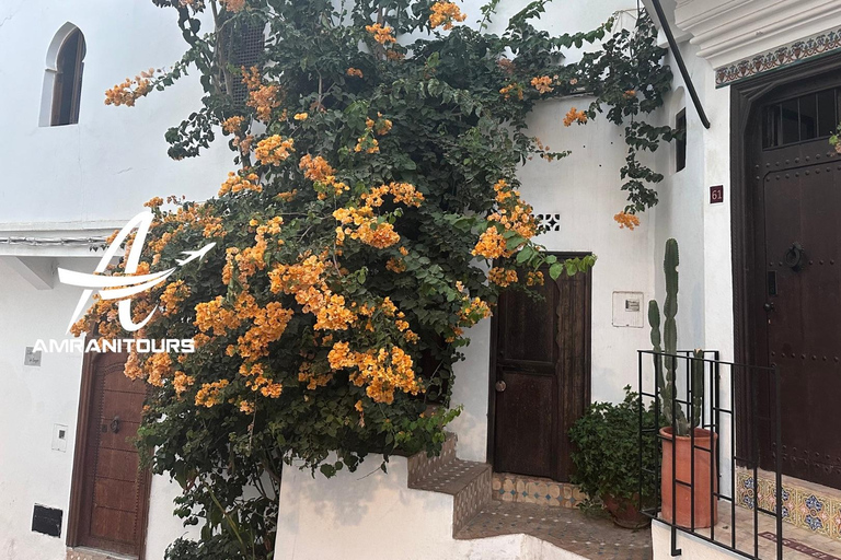 Tour de día completo en privado por Tánger, incluyendo historia y cultura