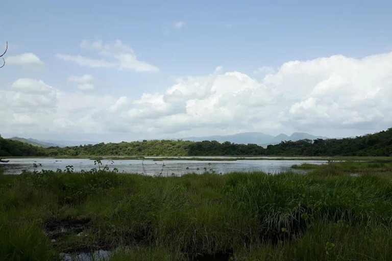 Chebera Churchura: Wildtiere &amp; malerische Ausblicke 4-tägige TourChebera Churchura: 4-tägige Tour mit Wildtieren und tollen Aussichten