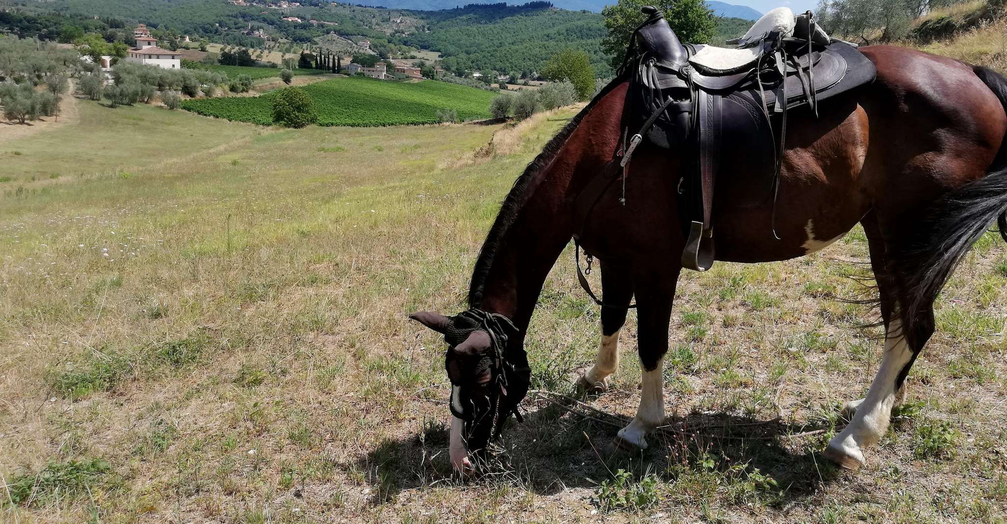 Florence: Horseback Riding Tour with Wine Tasting & Transfer photo 6