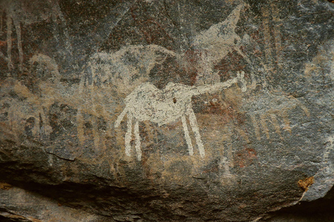 Tanzania: 15-Day Northern Safari and Cultural Tour