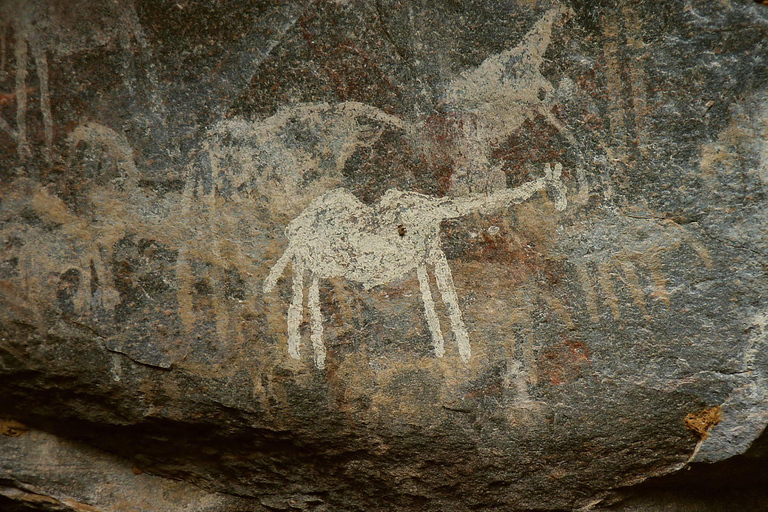 Tanzania: 15-Day Northern Safari and Cultural Tour