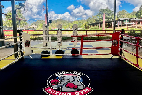 Chiangmai: Basic Muay Thai Experience with Training Session