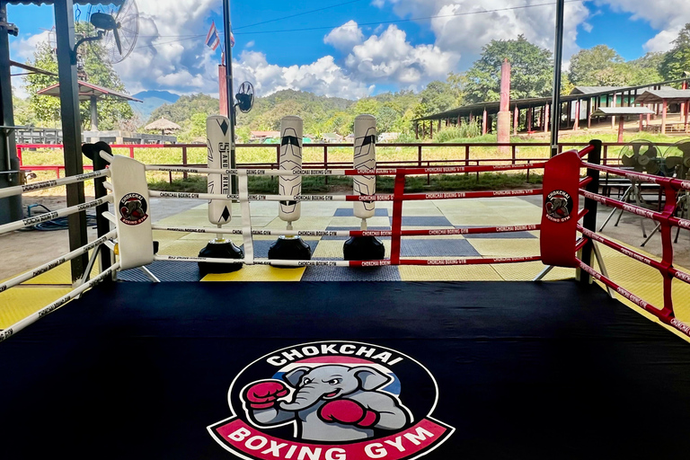 Chiangmai: Basic Muay Thai Experience with Training Session