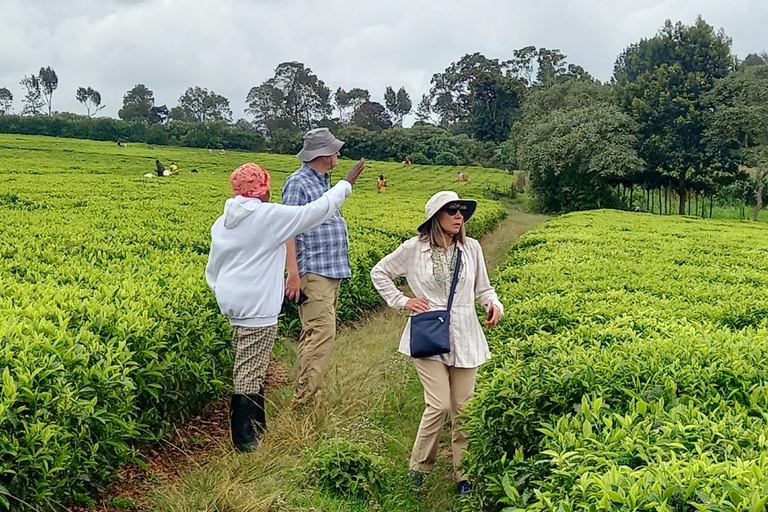 Nairobi: excursão de meio dia a uma fazenda de chá com almoço e degustação de chá.Nairóbi: Passeio de meio dia para tomar chá com almoço e degustação de chá.