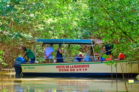 Martinique: Mangrove Boat Tour from Les Trois-Îlets champ spécial