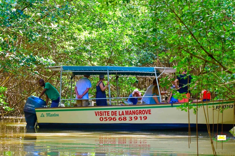 Martinica: Tour en barco por los manglares desde Les Trois-Îlets(Copia de) champ spécial