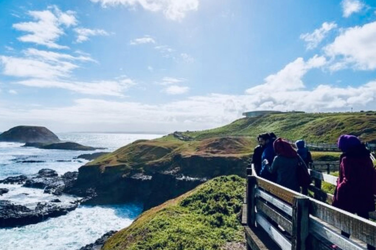 Melbourne: Phillip Island Private Tour with Penguin Parade