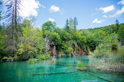 Zagreb to Rovinj: Private Transfer with Plitvice Lakes Visit