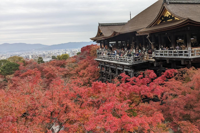 Walking Tour: Kiyomizu temple, Gion District with a local