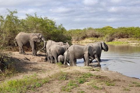 SELOUS : 2 DAGEN SAFARI VANUIT ZANZIBAR