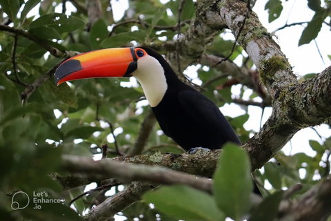 São Paulo & Atlantic Forest: Serra do Mar State Park Tour