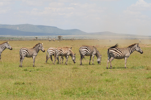 Safari économique de 6 jours au Kenya