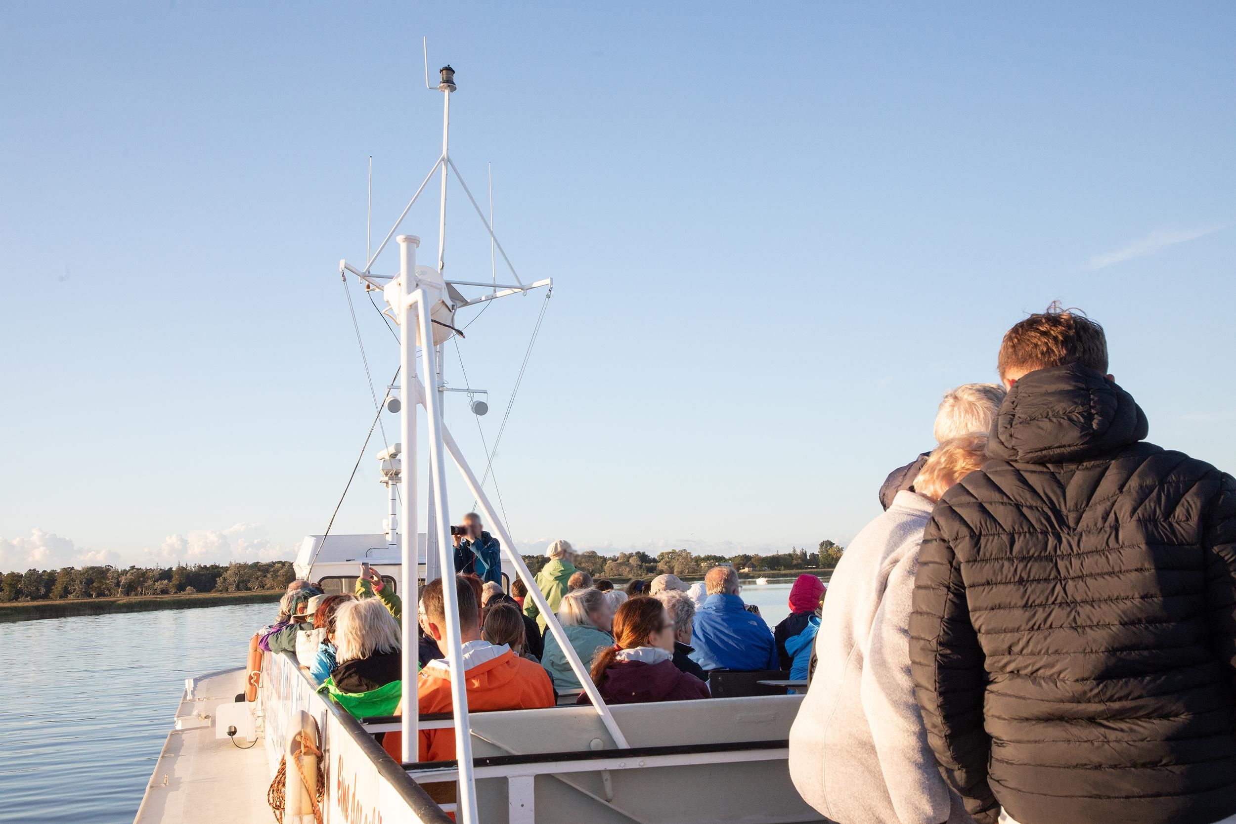 Kleine Kranichtour mit MS Swantevit ab Zingst