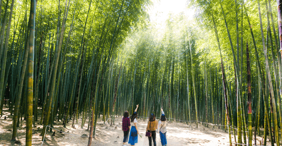 Busan-Kleingruppentour (max. 6 Personen)
