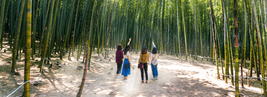 Visite photographique en petit groupe à Busan (6 personnes maximum)