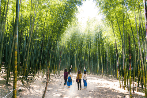 Tour per piccoli gruppi di Busan Est (massimo 7 persone)