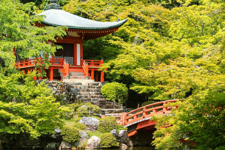 Kyoto Full Day Customizable Private Tour with English Guide