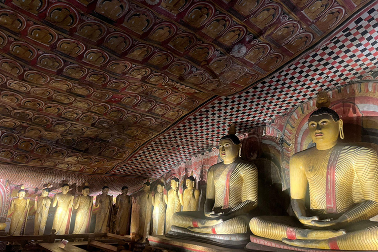 Kandy: Knuckles Mountain Range Guided Trekking Tour