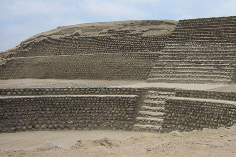 Excursion d&#039;une journée à Caral et Bandurria